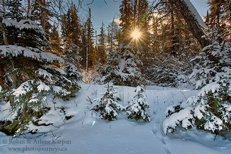 Winter Camping in Prince Albert National Park - Photo Journeys