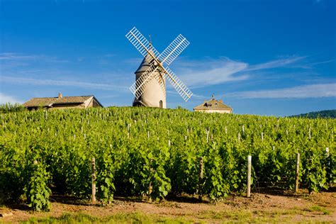 Beaujolais Villages & Wineries: What to do in Beaujolais