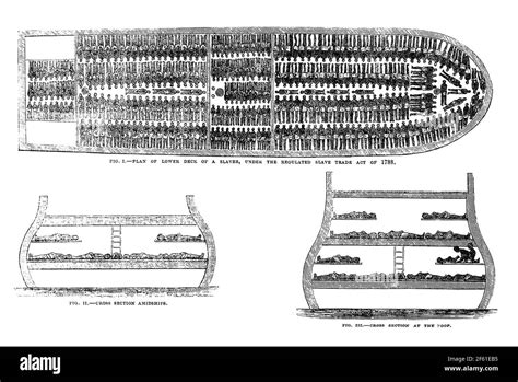 30+ Diagram Of Slave Ship - LeonardLeen