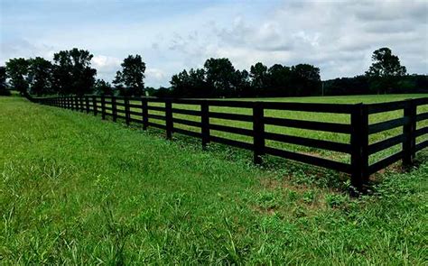 Protect Your Property: Understanding Colorado Fence Laws