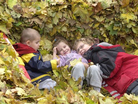 Children playing in leaves