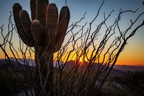 South Mountain Sunset Photograph by Sonny Marcyan - Fine Art America