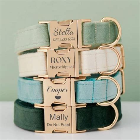 Teal Dog Collars: A Guide to Style, Comfort, & Safety