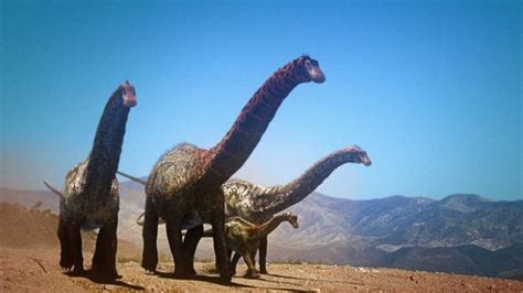 Lusotitan Pictures & Facts - The Dinosaur Database