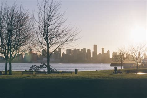 Sunrise in park at modern city free image download