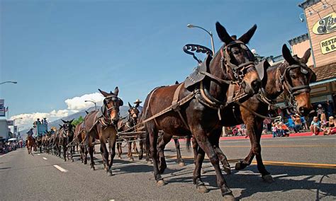 Western Events for May 2016 - True West Magazine