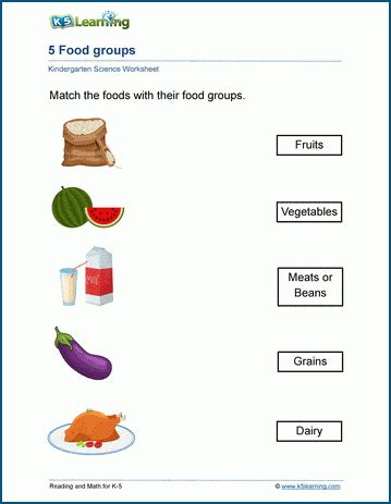 Food Groups Worksheets For Kids