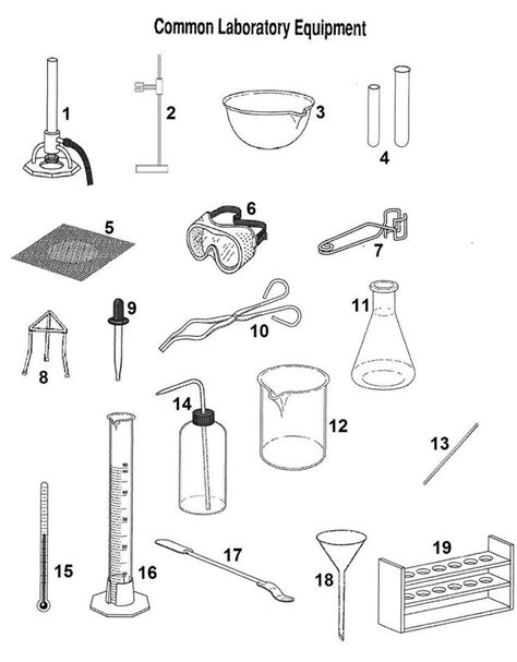 Common Laboratory Equipment Worksheet