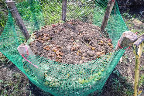 Bio composting - Fresh bio-waste and compost in the garden with food ...