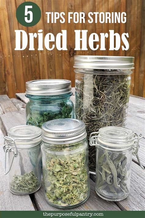 5 Best Tips for Storing Dried Herbs | Drying herbs, Long term food storage, Dry food storage