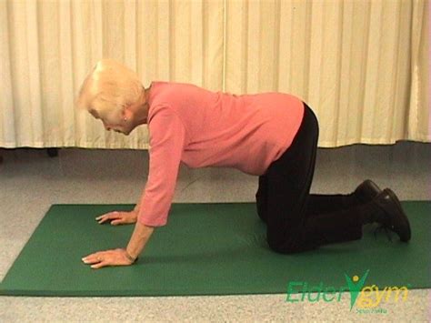 Exercises For Back Pain For Seniors And The Elderly | ELDERGYM® | Back ...