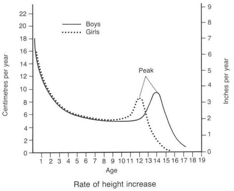 Fool’s Gold and Diamonds in the Rough: The Adolescent Growth Spurt in Boys — Volt Performance Blog