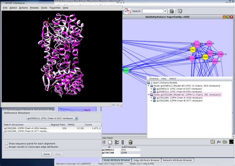 Chimera software - rrfas