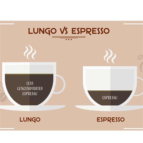 Lungo vs Espresso. Whats The Difference And Which Is Better?