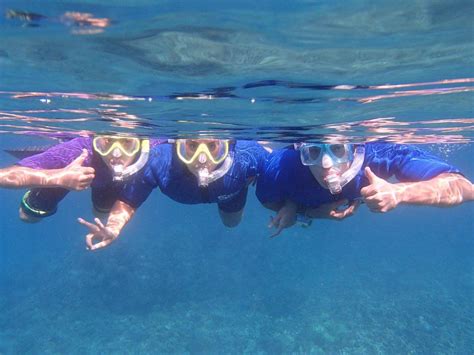 Maui Snorkel Tours (Kihei) - 2018 All You Need to Know BEFORE You Go ...