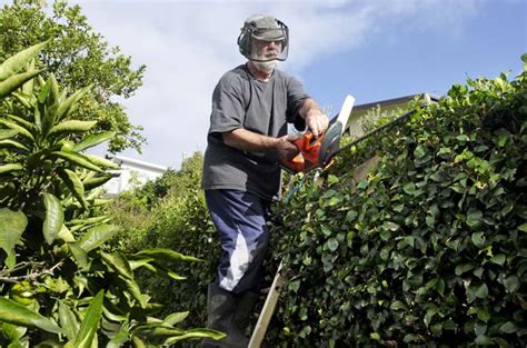 The Basics of Pruning Shrubs and Woody Plants | Gardener's Path