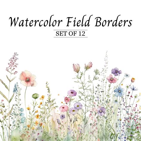 Watercolor Floral Clipart Border Wildflowers in Field Meadow Flower ...