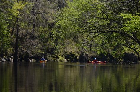 Alapaha River Adventure | Flickr