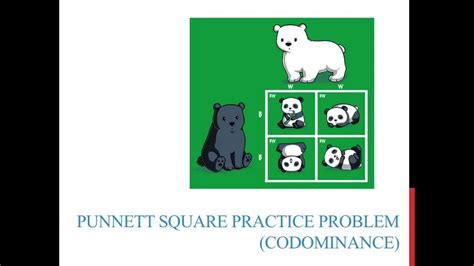 Codominance Examples Punnett Square