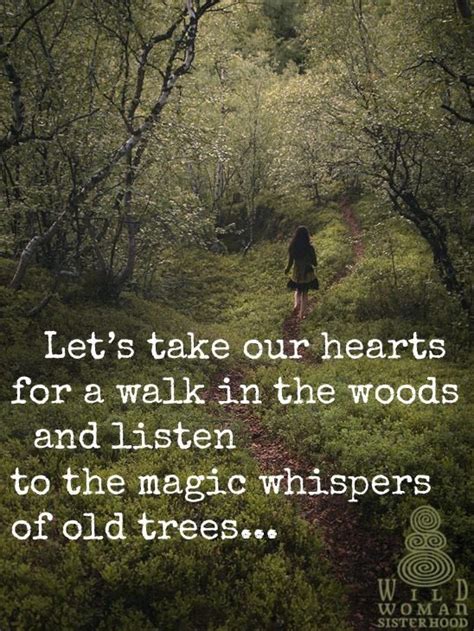 The Beauty Of Wood Quotes - ShortQuotes.cc