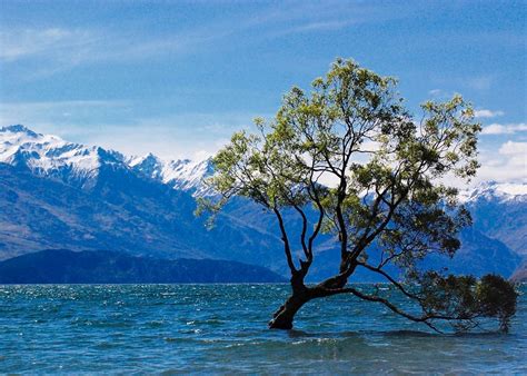 Visit Lake Wanaka on a trip to New Zealand | Audley Travel