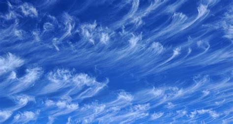 The On-Line Buzzletter: What's a Cirrus Cloud?