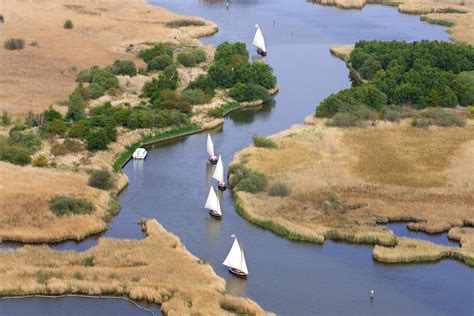 Peat digging and climate change - how the Norfolk Broads were formed | Visit Norfolk