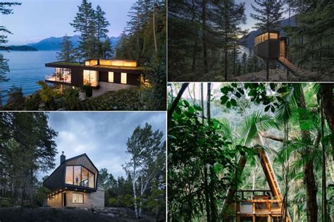 Modern Forest Houses That Make The Most Of Their Beautiful Natural ...