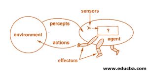 Agents in Artificial Intelligence | Understanding How Agents Should Act