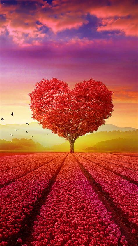 Árbol, Corazón, Artística, Fondo de pantalla HD | Peakpx