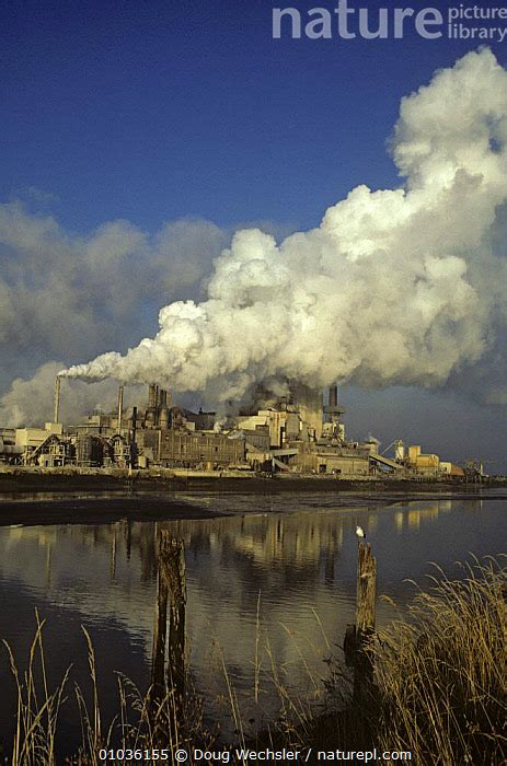 Stock photo of Pulp mill pollution, Tacoma, Washington state, USA.. Available for sale on www ...