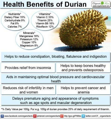 Various Health Benefits Of Durian Fruit - Indiatimes.com