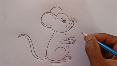 how to draw rat drawing rat drawing easy - YouTube