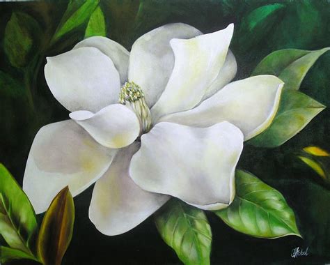 Magnolia Oil Painting Painting by Chris Hobel - Fine Art America