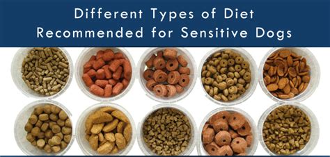 Types of Diets Recommended for Sensitive Dogs