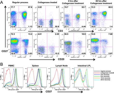 CD27 expression recovers on lymphocytes following treatment with... | Download Scientific Diagram