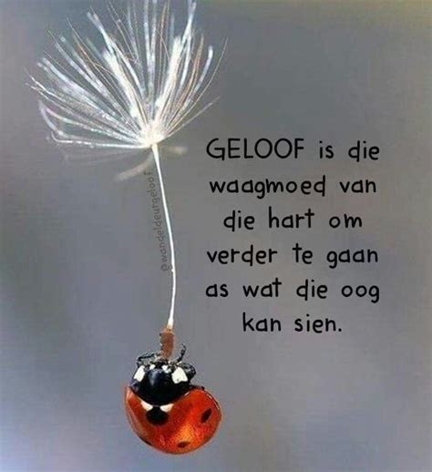 Afrikaans Inspirational Qoutes, Inspiring Quotes About Life, Motivational, Prayer Verses, Bible ...