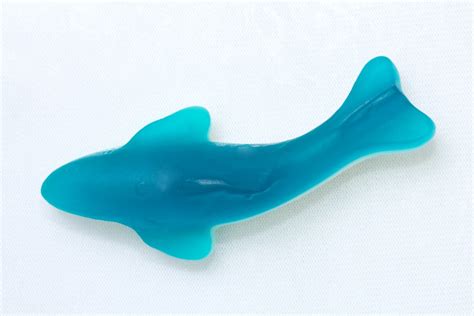 Gummy Blue Shark