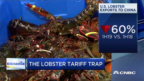 The US lobster industry latest to get caught in the US-China trade war