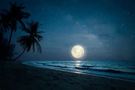 Night Beach Pictures | Download Free Images on Unsplash