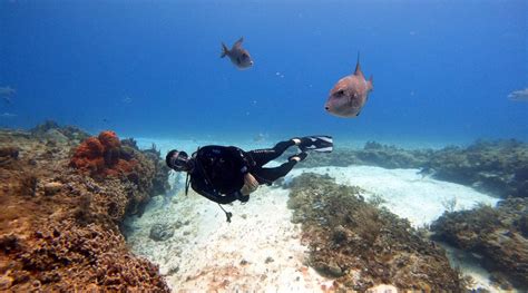 Tarkarli Scuba Diving | Cost - INR 1000/Person - Book Now!