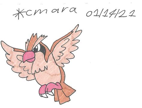 Pidgey flying by cmara on DeviantArt