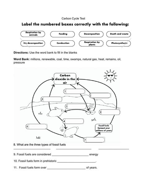 Free carbon cycle worksheet high school, Download Free carbon cycle ...