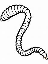 Earthworm coloring Pages sketch template