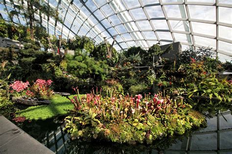 Step into a Domed Mountain Realm at Cloud Forest, Gardens by the Bay, Singapore | Will Fly for Food