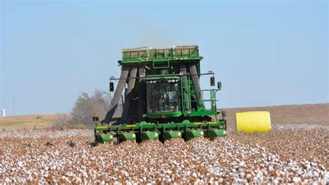 Farmers growing cotton in Oklahoma this year have no complaints, so far