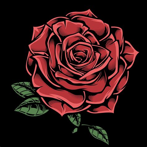 Hand Drawn Red Rose on Black 1180603 Vector Art at Vecteezy