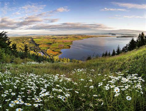 Skagit Valley em - Andy Porter Images