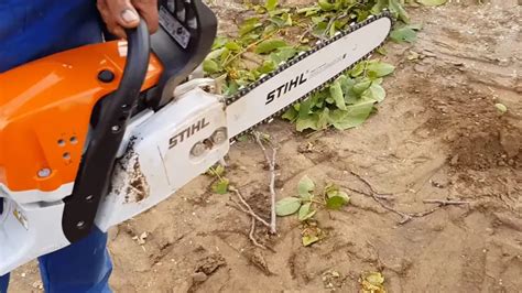 STIHL MS 311 Chainsaw Review - Forestry Reviews