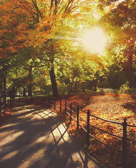 New York Autumn - Sunset - Central Park Photograph by Vivienne Gucwa ...